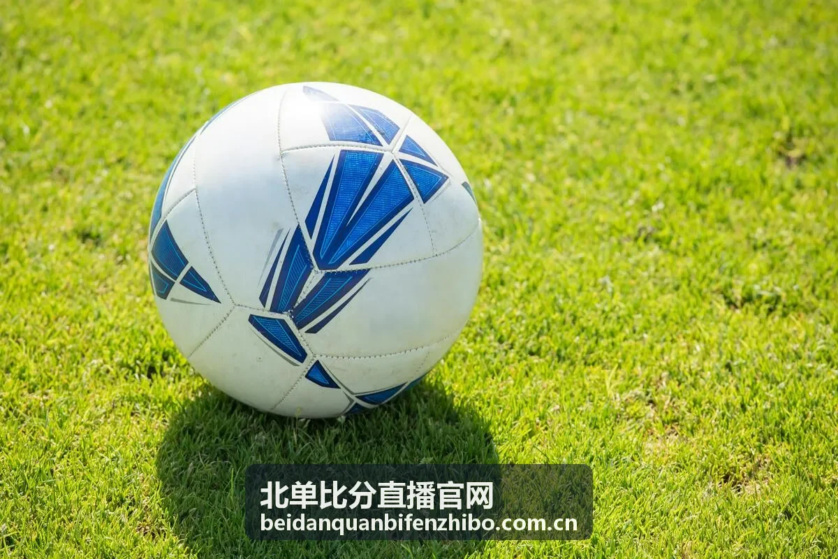 北单比分直播攻略：总进球玩法入门