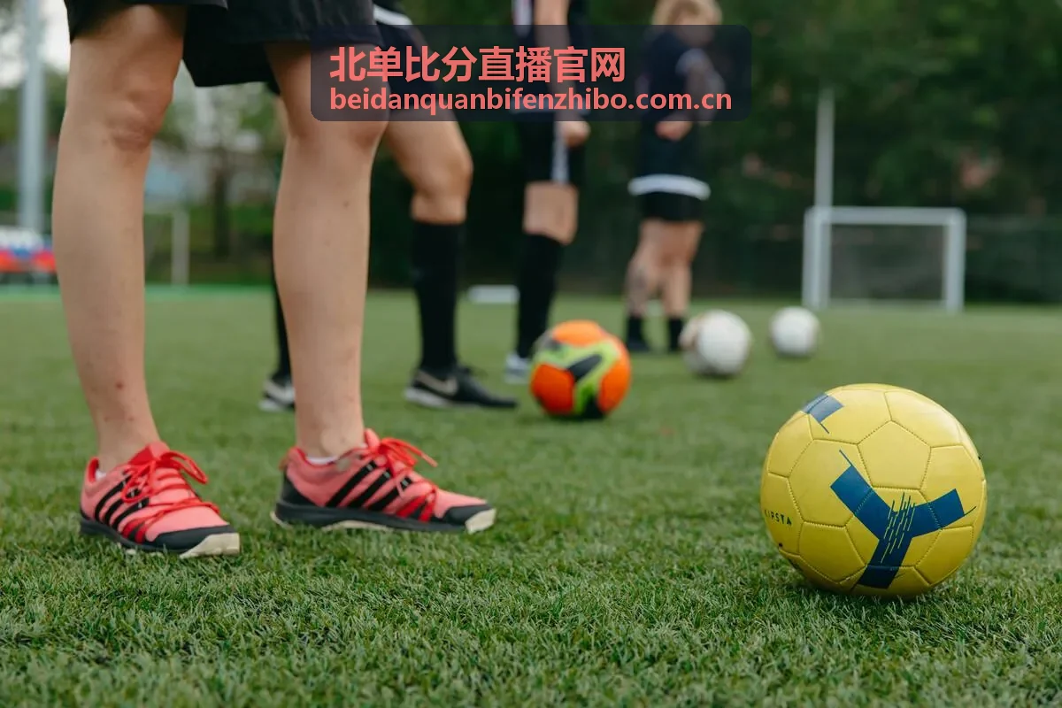 北单比分直播攻略：盘口数据解读